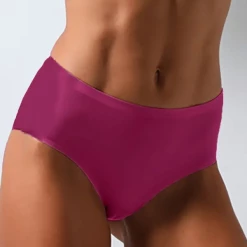 TankiniSkirt Ice Silk Crochet Lace Trim Panties 30 TankiniSkirt Ice Silk Crochet Lace Trim Panties -TankiniSkirt Shop 33635c5fd2255f92ccc207f46a575227