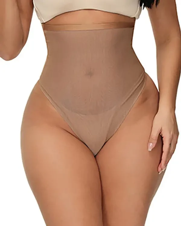 TankiniSkirt Sheer Mesh High Waist Tummy Control Panty 1 TankiniSkirt Sheer Mesh High Waist Tummy Control Panty